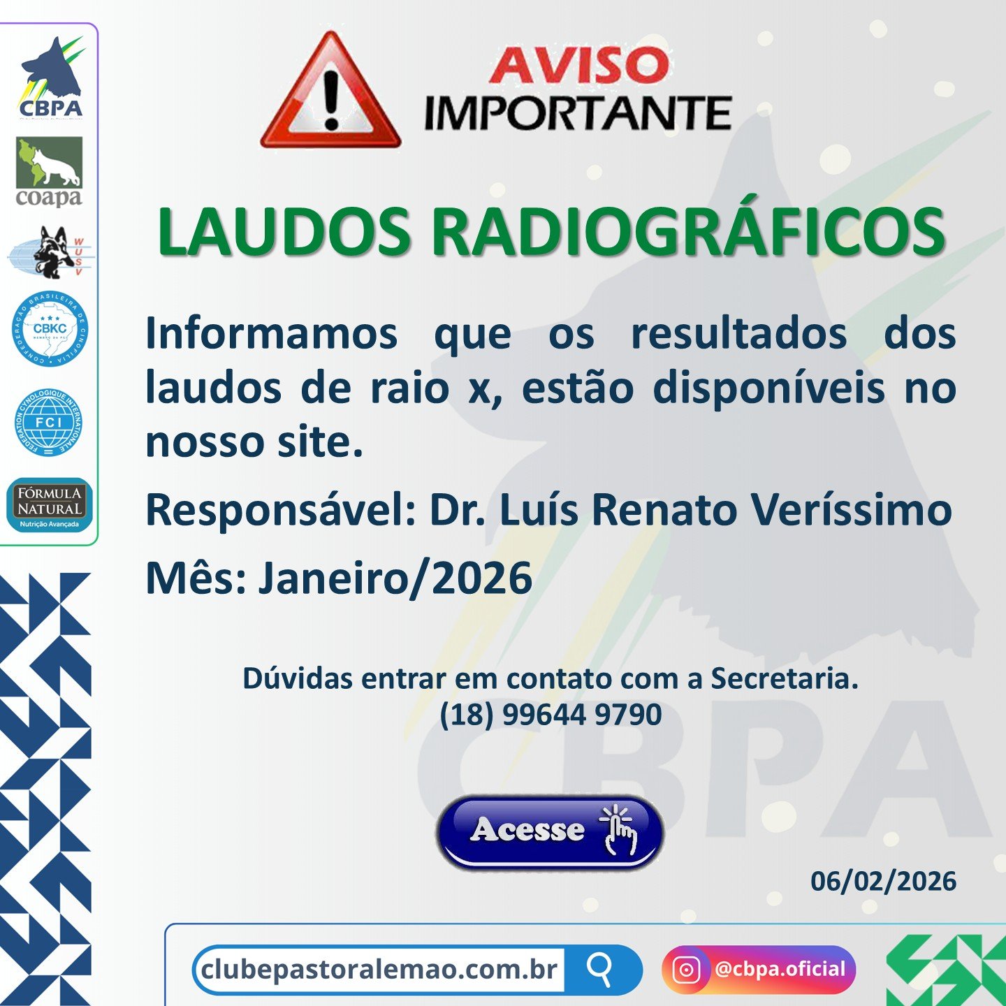 LAUDO JANEIRO DR. VERÍSSIMO