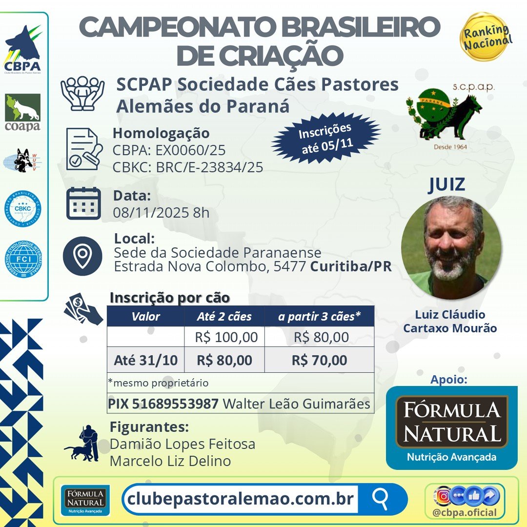 Campeonato Brasileiro de Criação 2025