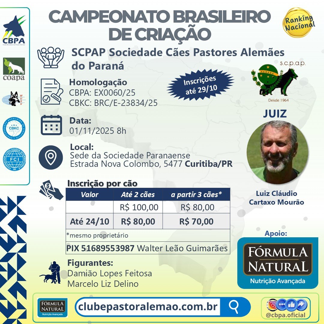 Campeonato Brasileiro de Criação 2025