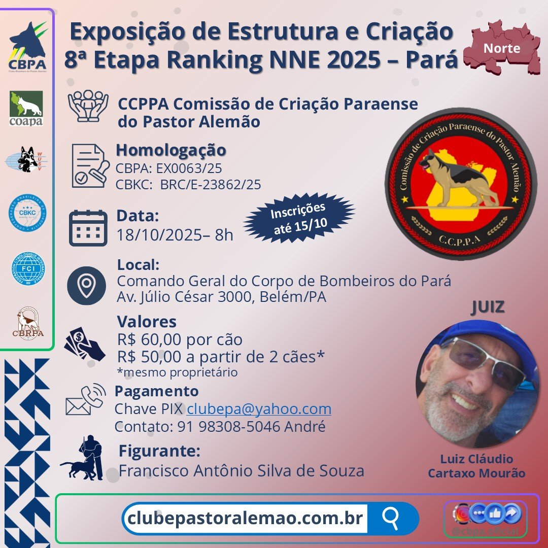 8 Etapa Ranking NNE - Exposição de Estrutura e Criação