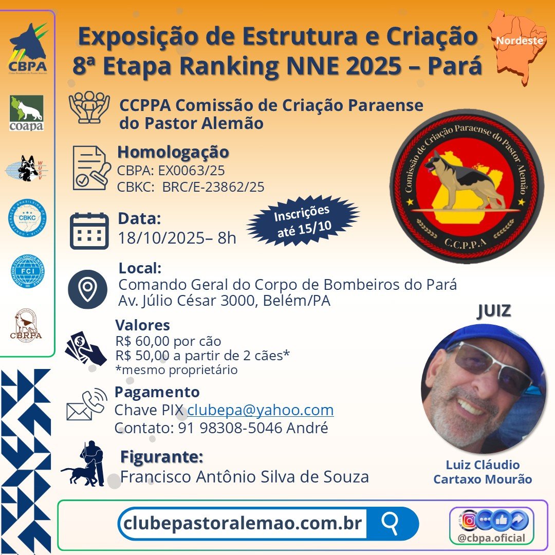 8 Etapa Ranking NNE - Exposição de Estrutura e Criação