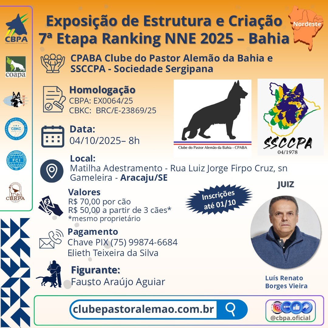 7 Etapa Ranking NNE - Exposição de Estrutura e Criação