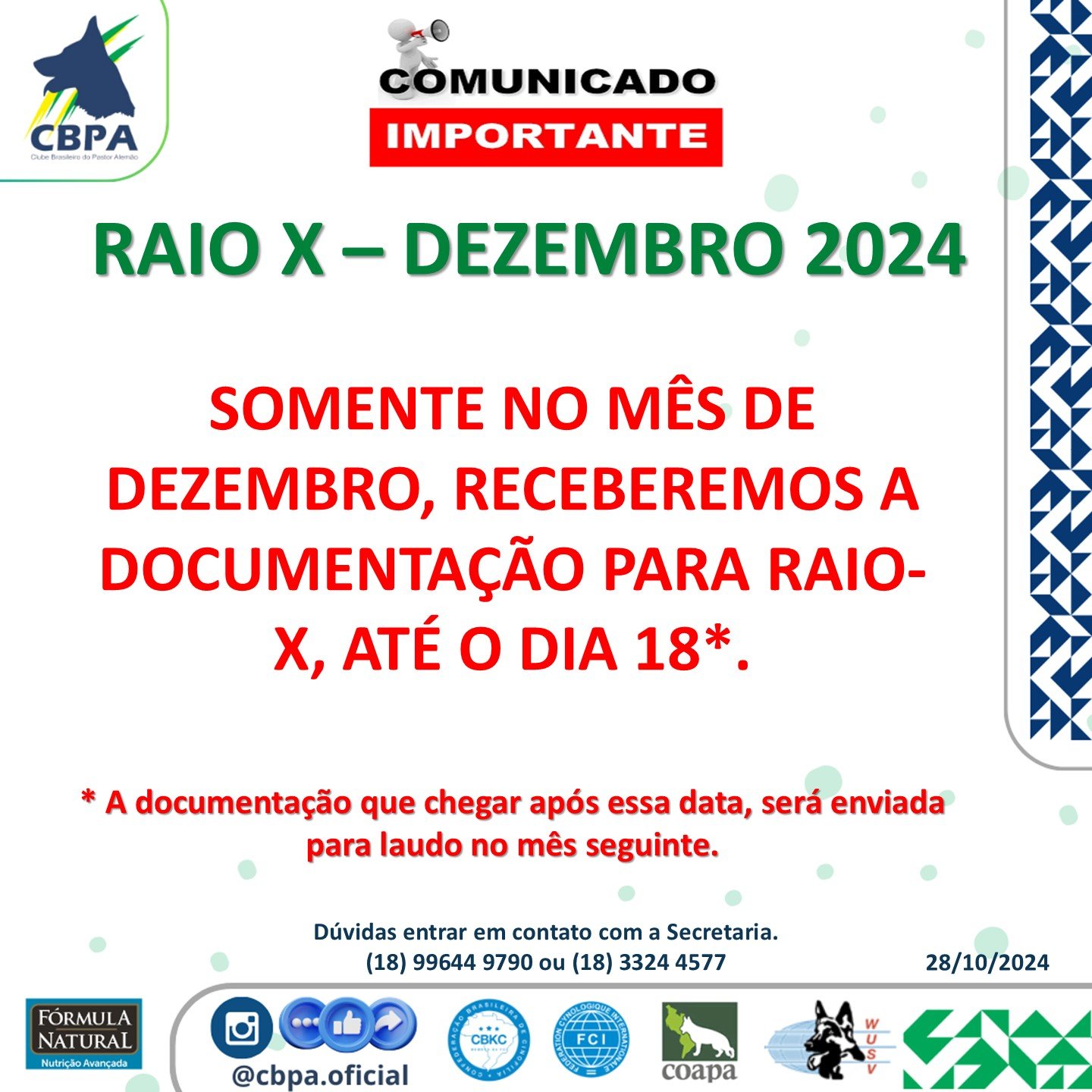 Raio- X Dezembro 2024