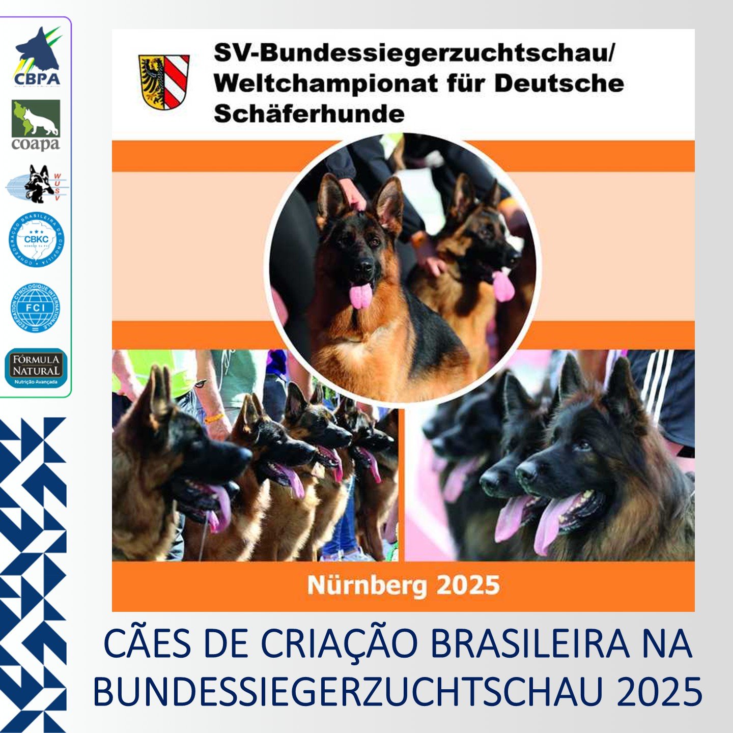 CÃES DE CRIAÇÃO BRASILEIRA NA BUNDESSIEGERZUCHTSCHAU 2025