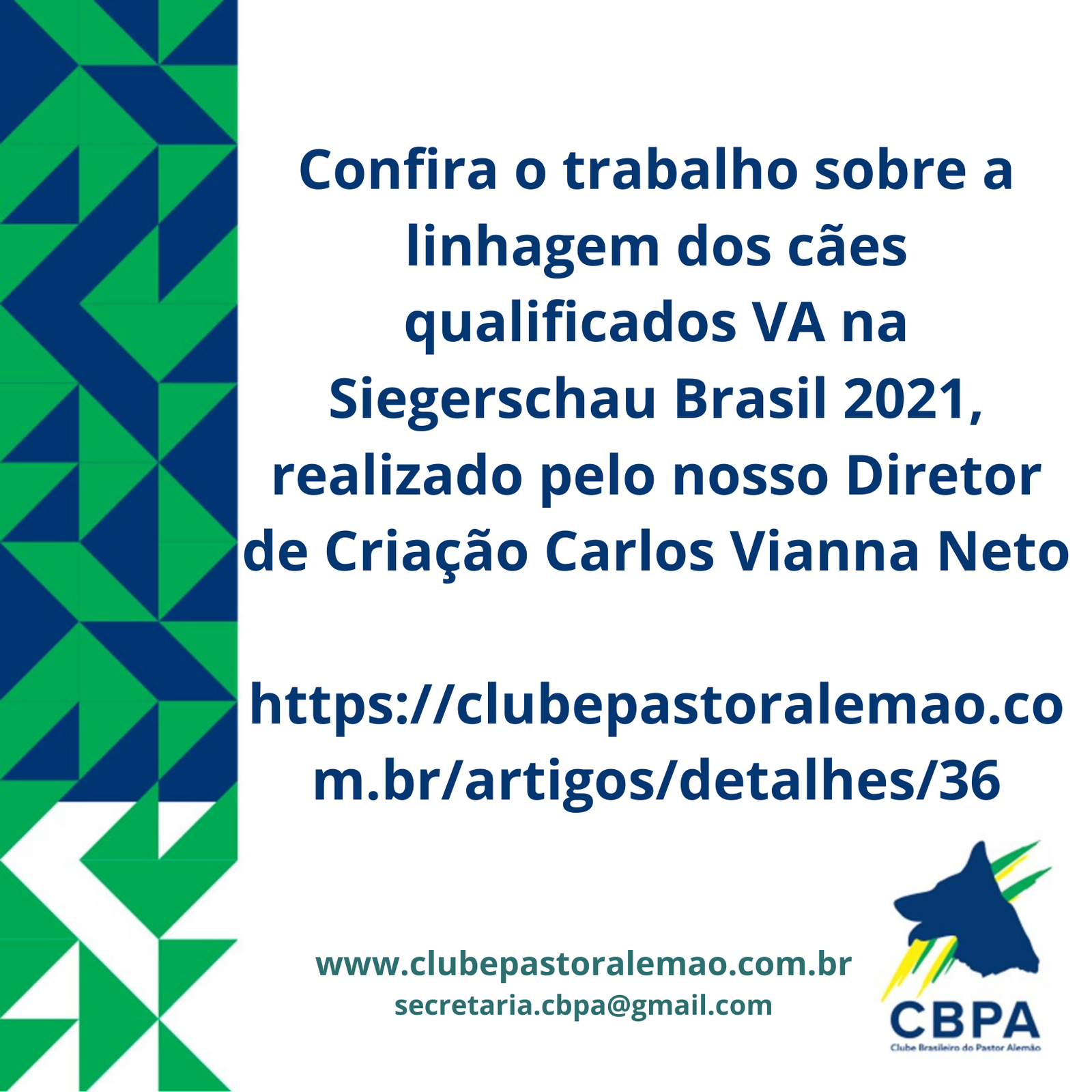 LINHAGENS DOS CÃES QUALIFICADOS VA “VORZÜGLICH AUSLESE” NA SIEGERSCHAU BRASIL 2021