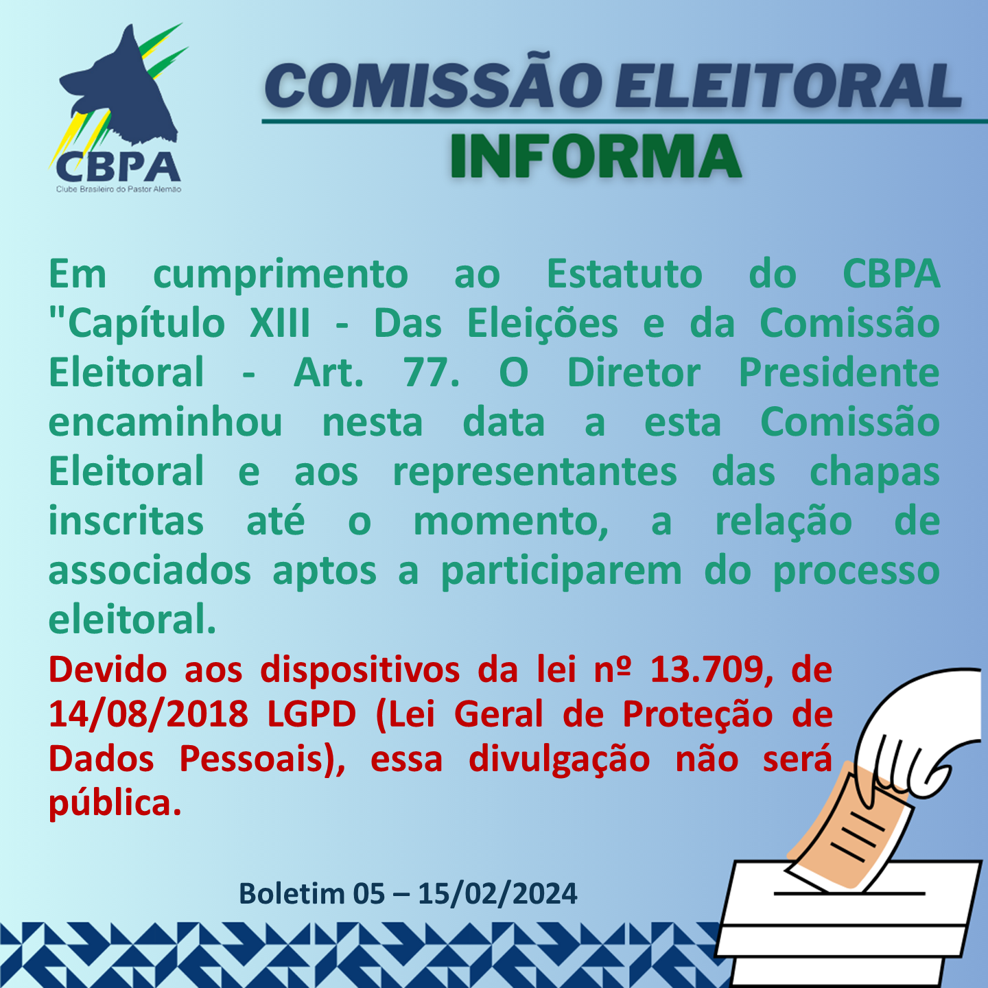 Boletim 05 - Eleições 2024